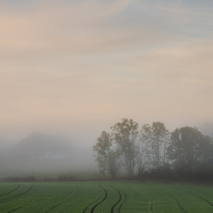 Foto fr&aring;n Roslagen