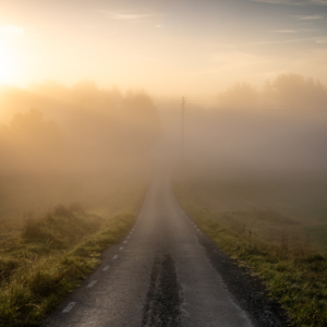 Foto fr&aring;n Roslagen